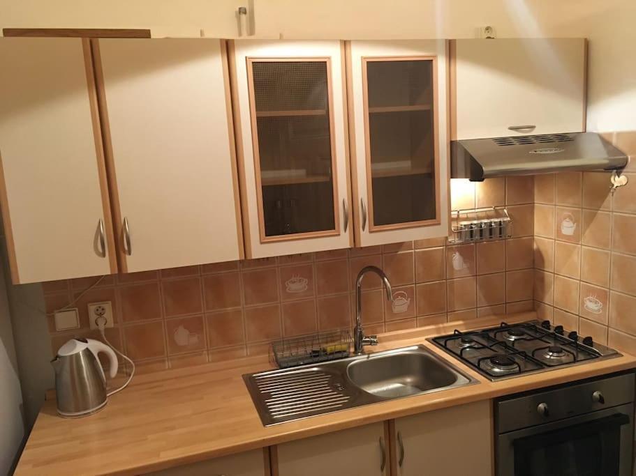 Utulne Ubytovani U Centra V Blizkosti Vystaviste Brno Luaran gambar