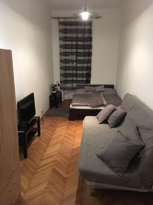 Utulne Ubytovani U Centra V Blizkosti Vystaviste Brno Luaran gambar